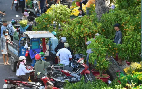 29 Tết, chợ hoa TP HCM đồng loạt “xả hàng”, giá giảm hơn một nửa