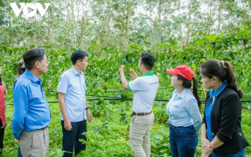 Chuyển đổi số “mở đường” cho nông nghiệp Đắk Lắk tăng trưởng bứt phá