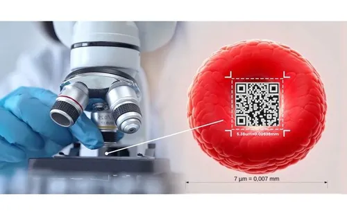 Xác lập kỷ lục mã QR nhỏ nhất thế giới, chỉ 1,98 micromet vuông