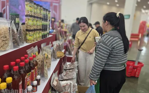 Nguồn cung dồi dào, giá cả ổn định, không xảy ra khan hàng trong ngày mùng 3 Tết