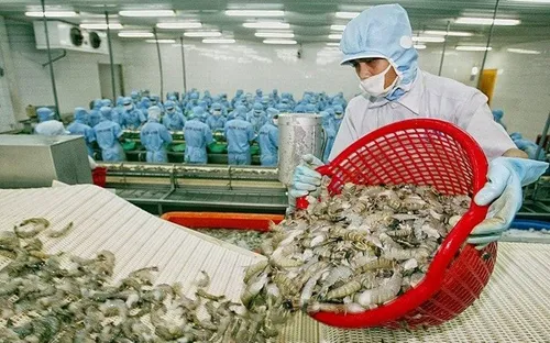 Mỹ giảm mạnh thuế chống bán phá giá tôm Việt Nam trong kỳ rà soát POR19