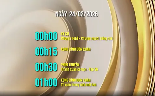Lịch phát sóng ngày 24/02/2026