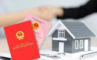 Cấp sổ đỏ, miễn tiền sử dụng đất phải căn cứ nguồn gốc và thời điểm sử dụng theo Luật Đất đai 2024