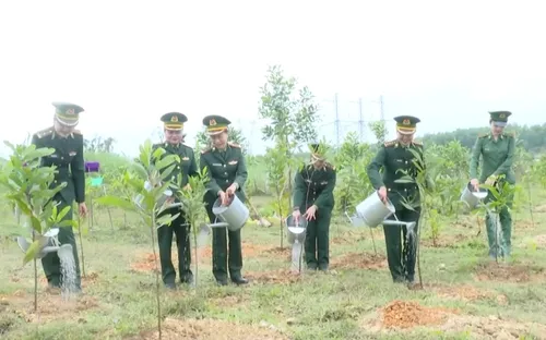 Quảng Trị phát động "Tết trồng cây đời đời nhớ ơn bác Hồ"