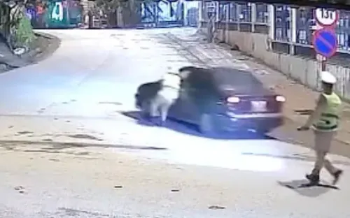 Tài xế ở Tuyên Quang bị khởi tố sau khi kéo xe bỏ chạy, khiến CSGT bị thương