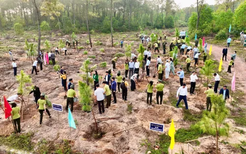 Huế phát động “Tết trồng cây đời đời nhớ ơn Bác Hồ”