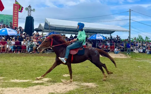 Rộn ràng hội đua ngựa Gò Thì Thùng: Khí thế xuân Bính Ngọ 2026
