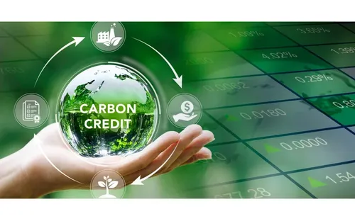 Ban hành Thông tư quản lý Hệ thống đăng ký quốc gia về hạn ngạch phát thải và tín chỉ carbon