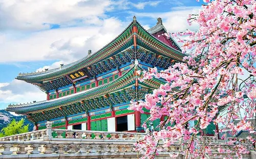 Hàn Quốc thí điểm chương trình “du lịch giảm một nửa” để hỗ trợ vùng nông thôn