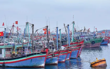 Đoàn Thanh tra EC dự kiến sang Việt Nam kiểm tra lần thứ 5 về chống khai thác IUU