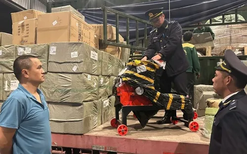 Thông tư 06 cho phép Hải quan chủ động tạm dừng thông quan khi nghi vấn hàng giả