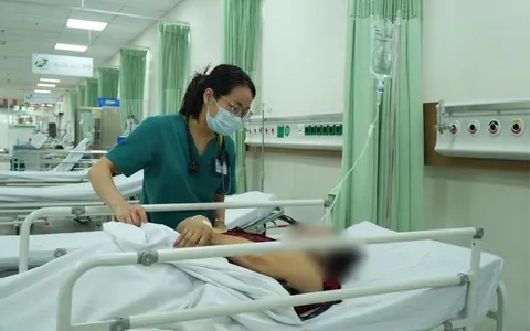 Yêu cầu khẩn trương điều tra vụ nghi ngộ độc bánh mì tại TP Hồ Chí Minh