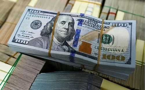 Tỷ giá USD hôm nay 4/3: Tỷ giá trung tâm chạm mốc 25.052 đồng/USD