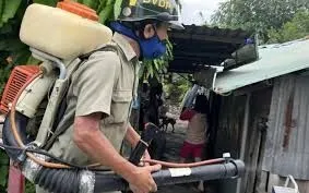 TP Hồ Chí Minh: Ca sốt xuất huyết và tay chân miệng giảm trong tuần 9