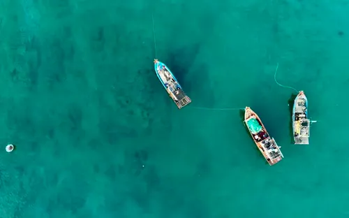 Tam Tiến: Giữa dòng Trường Giang và nhịp chèo xứ Quảng