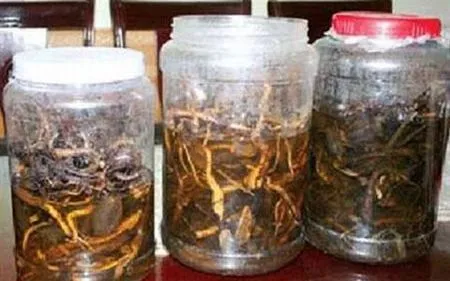 Cảnh báo nguy cơ phản vệ khi uống rượu thuốc ngâm không rõ nguồn gốc