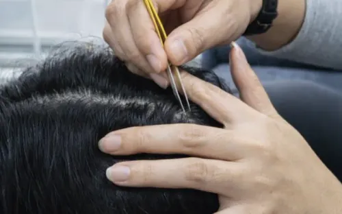 Nhổ một sợi tóc có khiến nhiều sợi khác mọc lên?