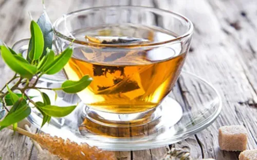 Nước lá đinh lăng có tác dụng gì đối với sức khỏe?