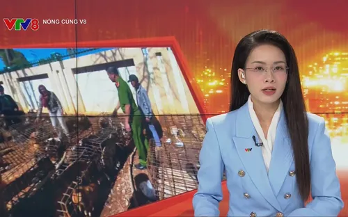 Đắk Lắk: Triệt phá tụ điểm tập kết 70 con chó nghi bị trộm cắp tại xã Quảng Phú