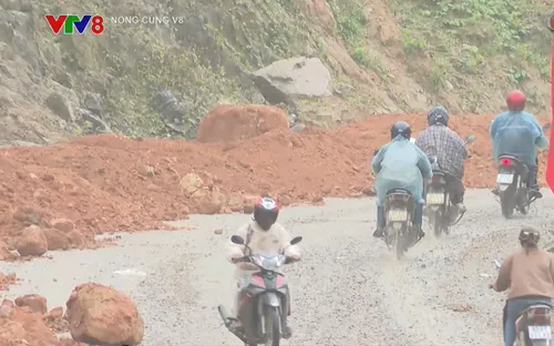 Quảng Ngãi: Thi công tỉnh lộ chậm tiến độ, người dân đi lại khó khăn