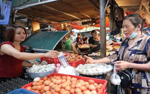 Cá nhân kinh doanh nhỏ lẻ vẫn phải đăng ký thuế dù không bắt buộc lập hộ kinh doanh