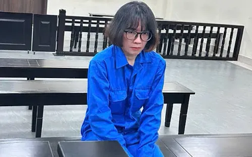 Lừa hơn 1,3 tỷ đồng bằng dịch vụ mang thai hộ “ảo”, người phụ nữ lĩnh 13 năm tù