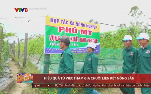 Vai trò chuỗi liên kết trong sản xuất nông nghiệp