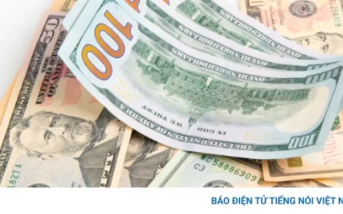 Tỷ giá USD hôm nay 16/3: Tỷ giá trung tâm tăng lên 25.068 đồng/USD