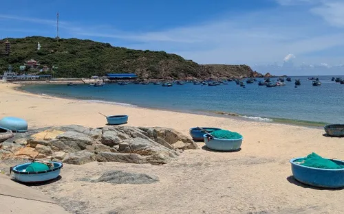 Gia Lai triển khai mô hình cảng cá kết hợp du lịch tại phường Quy Nhơn Đông