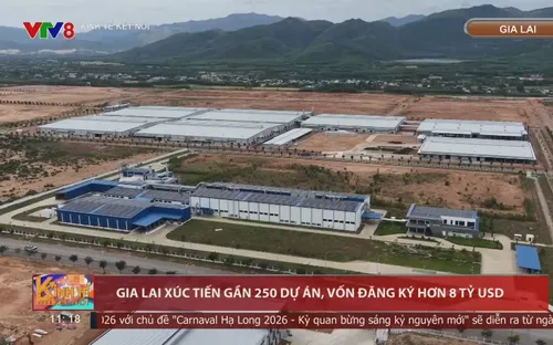Gia Lai: Sẵn sàng cho Hội nghị xúc tiến đầu tư quy mô lớn năm 2026