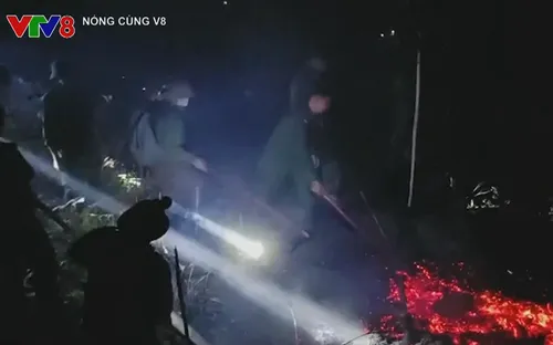 Kịp thời khống chế vụ cháy rừng tại xã A Lưới 1