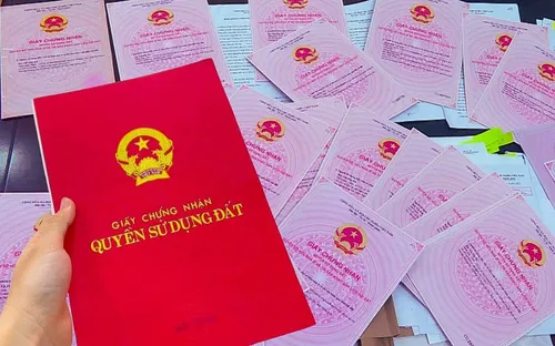 Cựu kế toán làm giả sổ đỏ, lừa đảo hơn 10 tỷ đồng lĩnh 22 năm tù