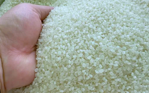 Giá nông sản thế giới chững lại, gạo giảm do nhu cầu yếu và chi phí vận tải tăng