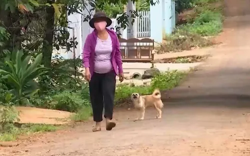 Đắk Lắk báo động phòng chống bệnh dại