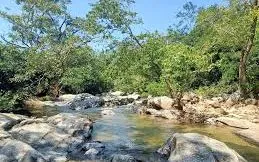 Suối Đồng Tre: Vẻ đẹp hoang sơ giữa núi rừng Gia Lai khiến du khách lưu luyến