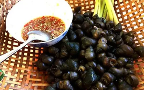 Ốc – món "khoái khẩu" nhưng tiềm ẩn nguy cơ ký sinh trùng nếu chế biến sai cách
