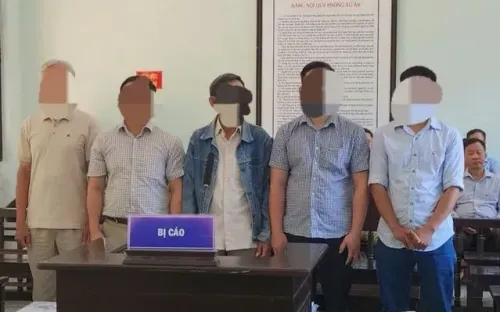 5 bị cáo lĩnh án trong vụ khai thác rừng sau cháy gây thiệt hại hơn 5,5 tỷ đồng