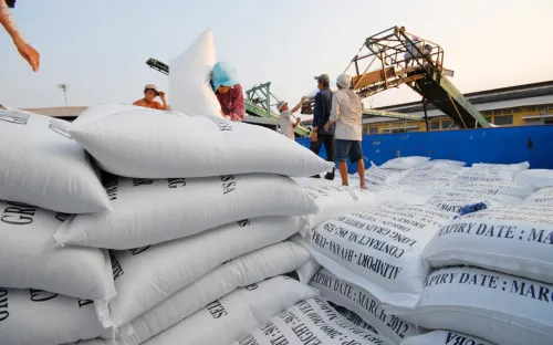 Xuất khẩu gạo Việt Nam sang Senegal tăng gần 30 lần, mở rộng cơ hội nhưng đối mặt thách thức