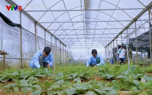 Hội thảo Quốc tế về cây dược liệu và hợp chất thiên nhiên