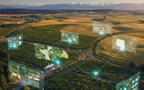 Vĩnh Long: "Siết" kỷ cương dữ liệu nông nghiệp – Khi tuân thủ là tấm vé thông hành cho doanh nghiệp địa phương