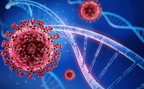 Bộ Y tế cảnh báo biến thể Covid “ve sầu”: Không hoang mang nhưng cũng không chủ quan