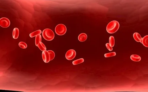 Thiếu máu nặng ở trẻ sơ sinh: Nhận biết sớm để phòng biến chứng