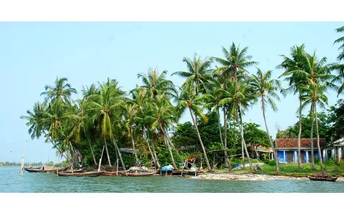 Tam Hải: Miền ký ức yên bình giữa biển trời Đà Nẵng