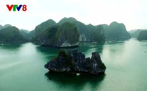 Tin tức Kết nối VTV8 tuần 30.3 - 5.4: Điểm nhấn văn hóa, du lịch và thể thao nổi bật