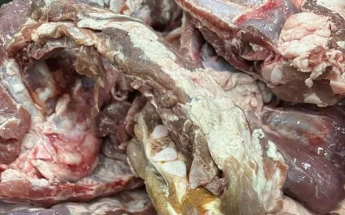 Triệt phá đường dây tiêu thụ gần 300 tấn thịt lợn bệnh vào bếp ăn trường học