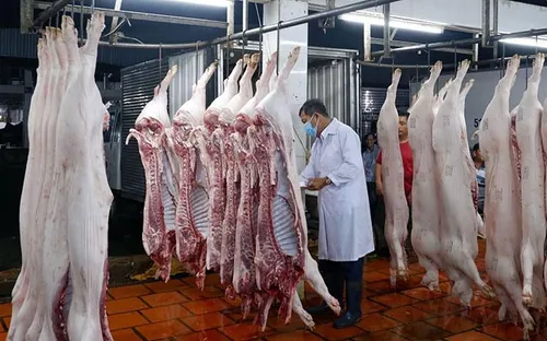 Thủ tướng yêu cầu siết chặt kiểm soát giết mổ, ngăn thịt bẩn ra thị trường