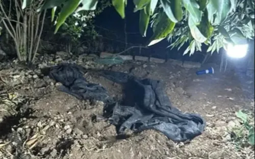 Bắt nghi phạm sát hại cụ bà 87 tuổi, chôn thi thể dưới gốc xoài ở Hải Phòng