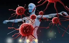 Khám phá lý do cùng một thuốc ung thư có hiệu quả khác nhau ở từng bệnh nhân