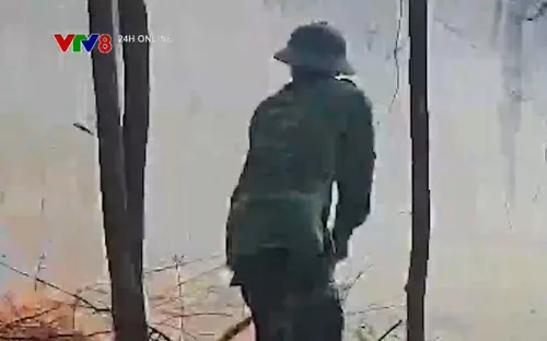 Quảng Trị kịp thời dập tắt đám cháy rừng phòng hộ ven biển