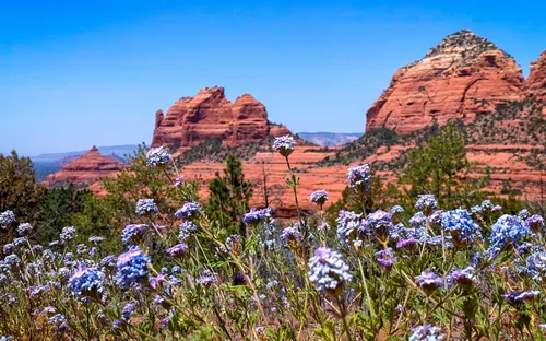 Sedona: Đi để cơ thể thở sâu hơn, tâm trí chậm lại